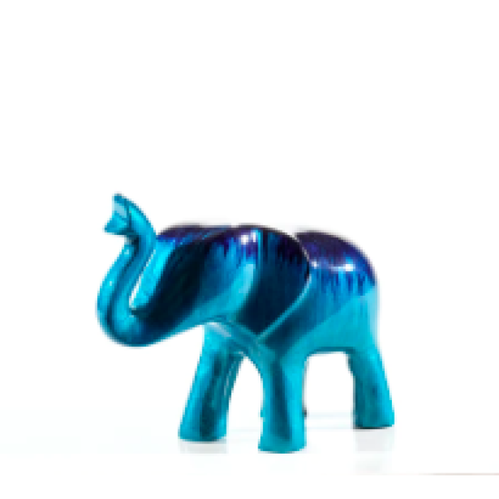 Aqua elephant trunk up Small 