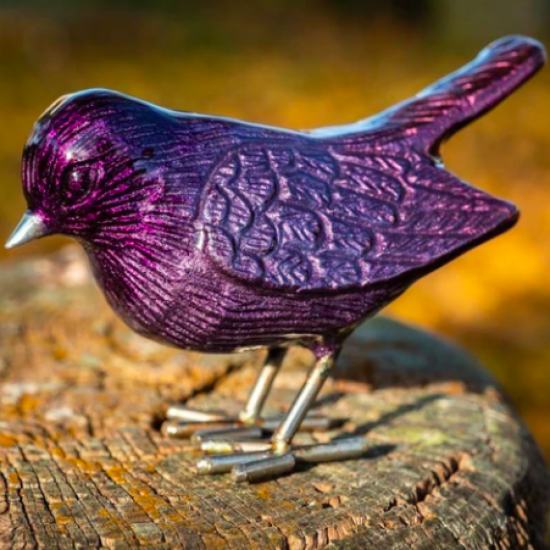Brushed Purple Robin