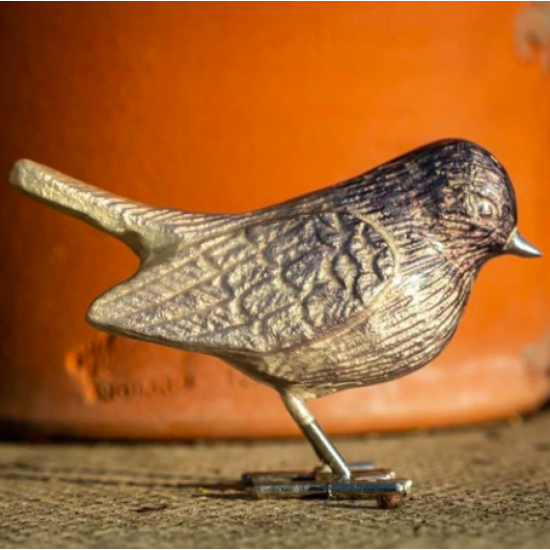 Brushed Silver Robin