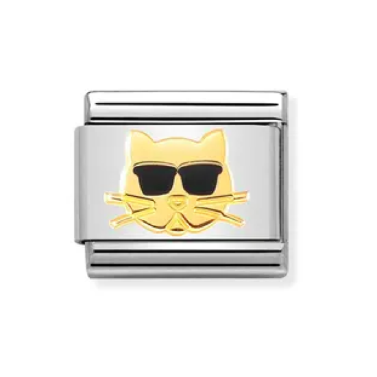 Cat with Sunglasses Link