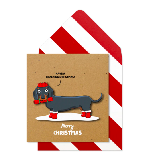 Cracking Christmas Dachshund Card