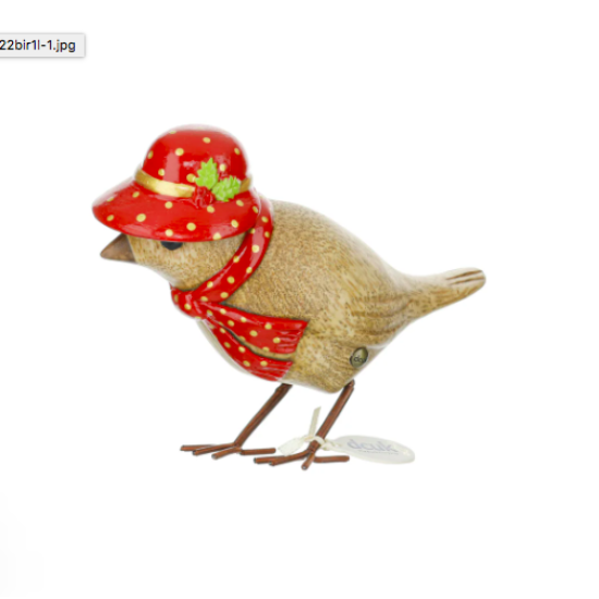 Duckensian Lady Garden Bird