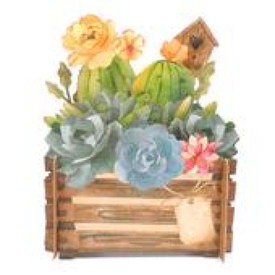 Flowering Succulent Plants 3D Pop Up Any Occasion Greeting Card
