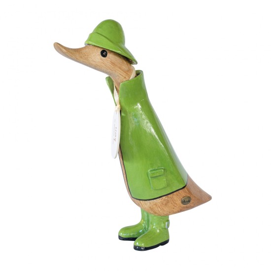 Green Raincoat Duckling