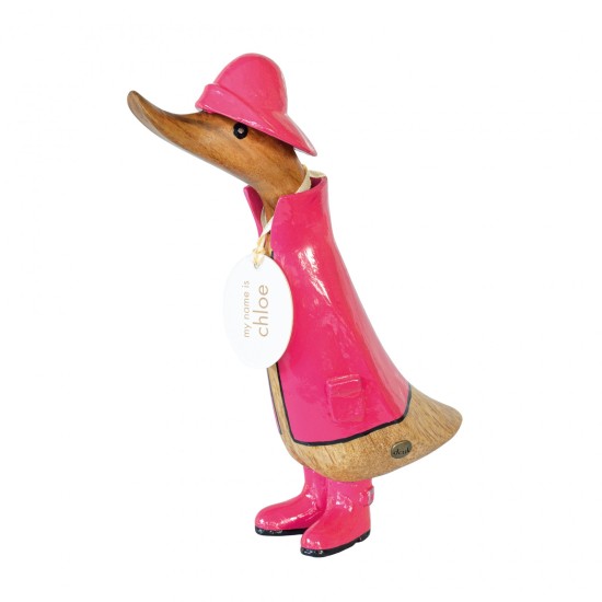 Pink Raincoat Duckling