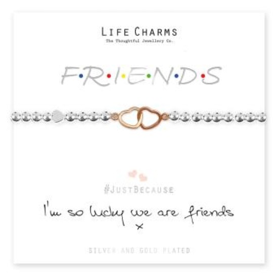 We Are Friends Bracelet