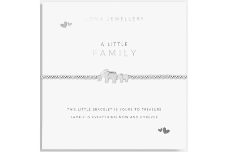 A Little Family Bracelet