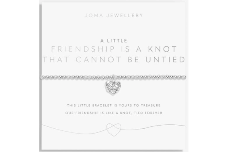 A Little Friendship is a Knot That Cannot Be Untied Bracelet