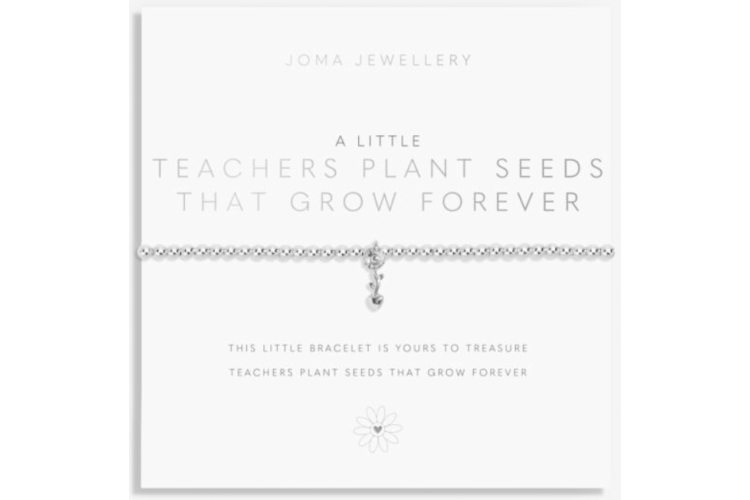 A Little Teachers Plant Seeds That Grow Forever Bracelet