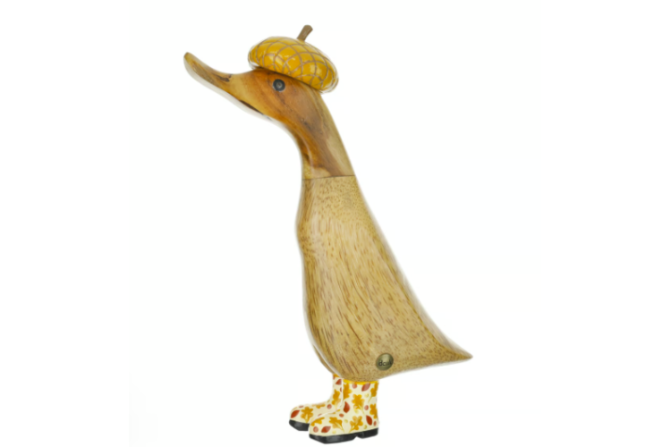 Acorn Hat Woodland Duckling