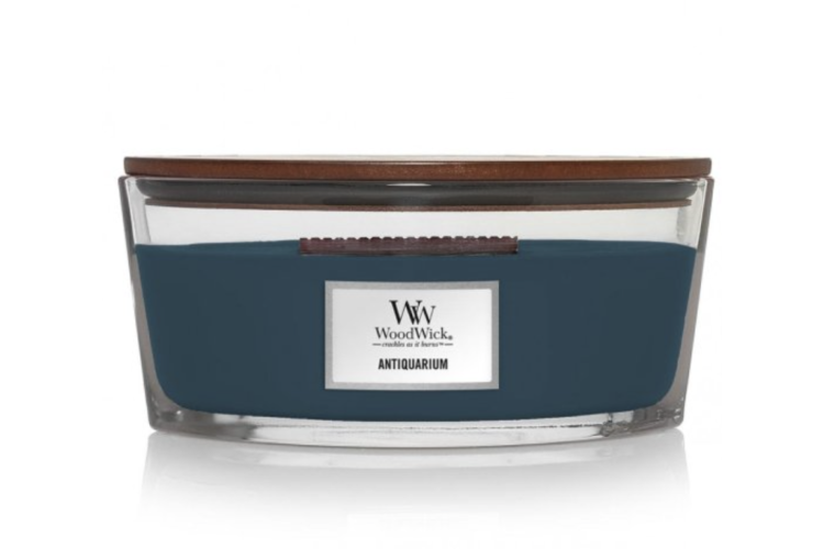Antiquarium Ellipse Candle