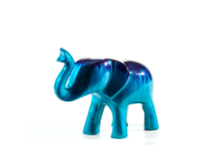 Aqua elephant trunk up Medium 