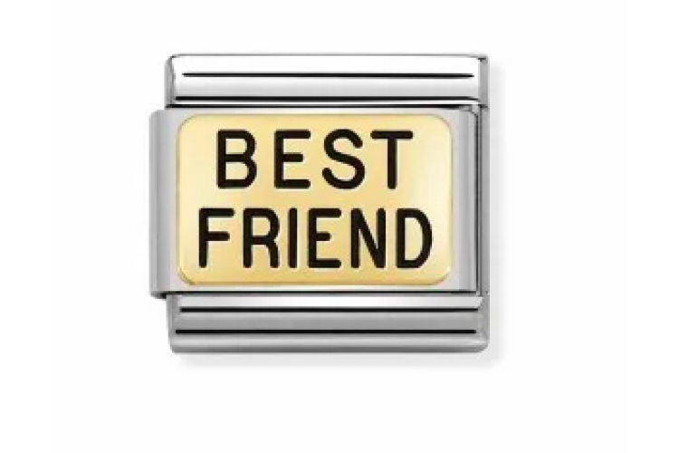 Best Friend Link 