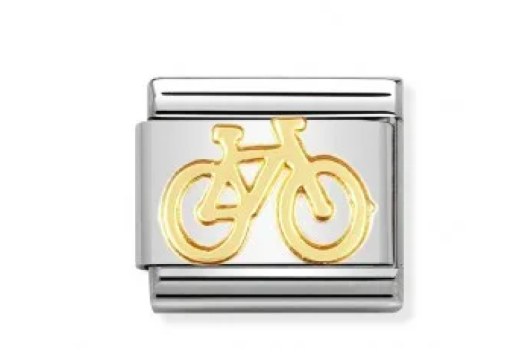 Bike Link 