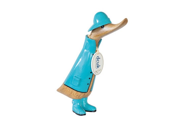 Blue Raincoat Duckling