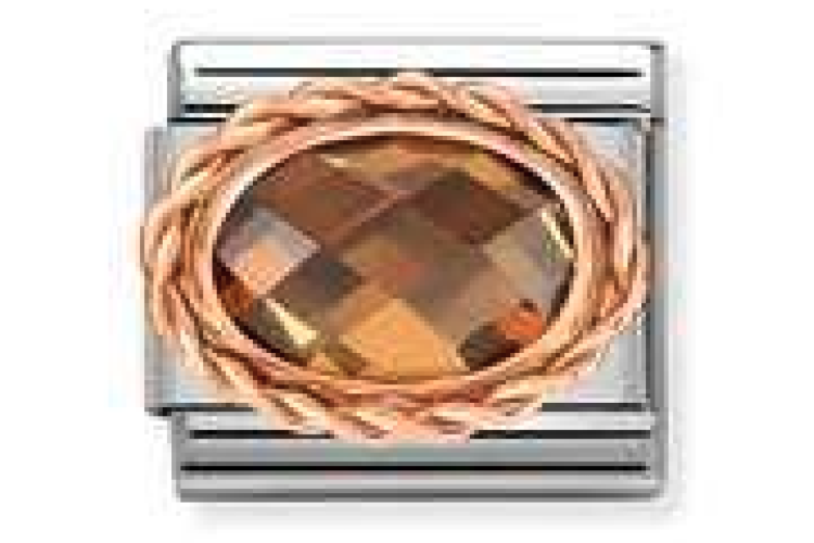 Brown Crystal Oval Stone with Rose Gold Rope Border Link