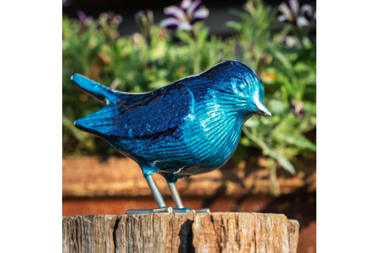 Brushed Aqua Robin