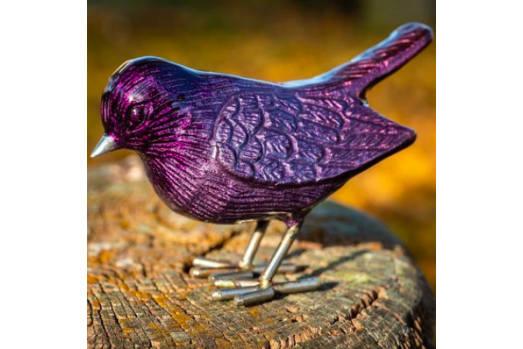 Brushed Purple Robin