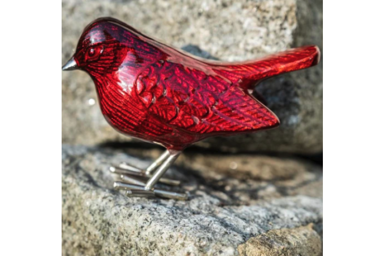 Brushed Red Robin