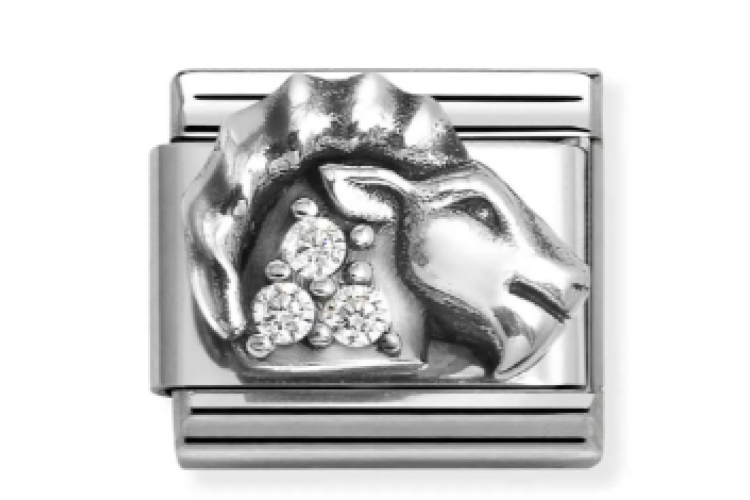 Capricorn with CZ Link 