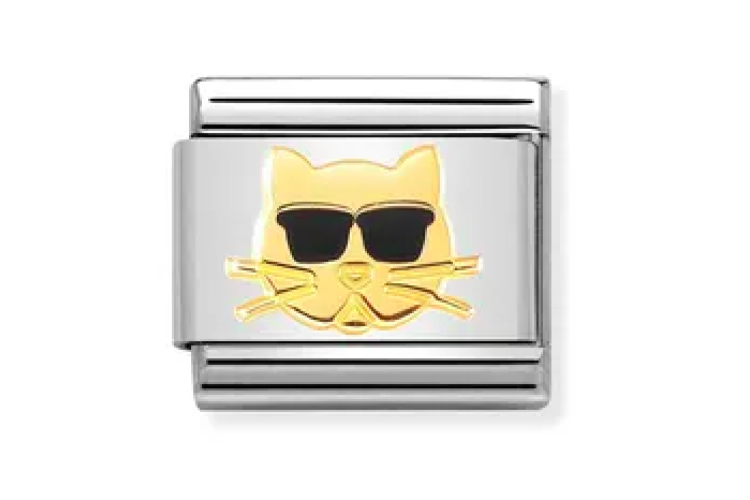 Cat with Sunglasses Link