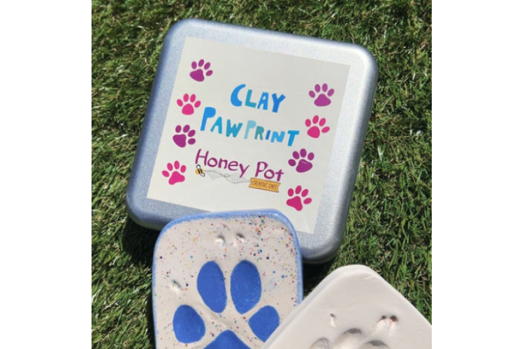 Clay Paw Print Kit