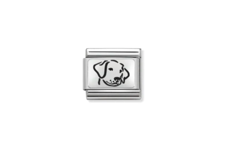 Dog Link
