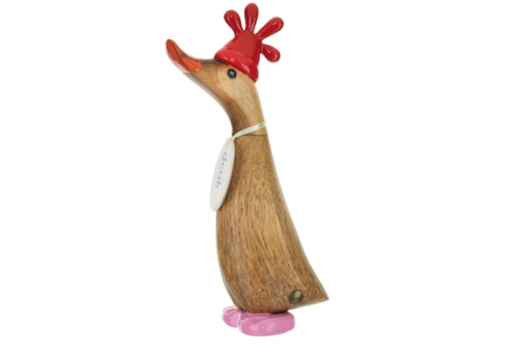 Feathers McGraw Duckling