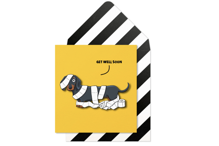 Get Well Soon Dachshund Card