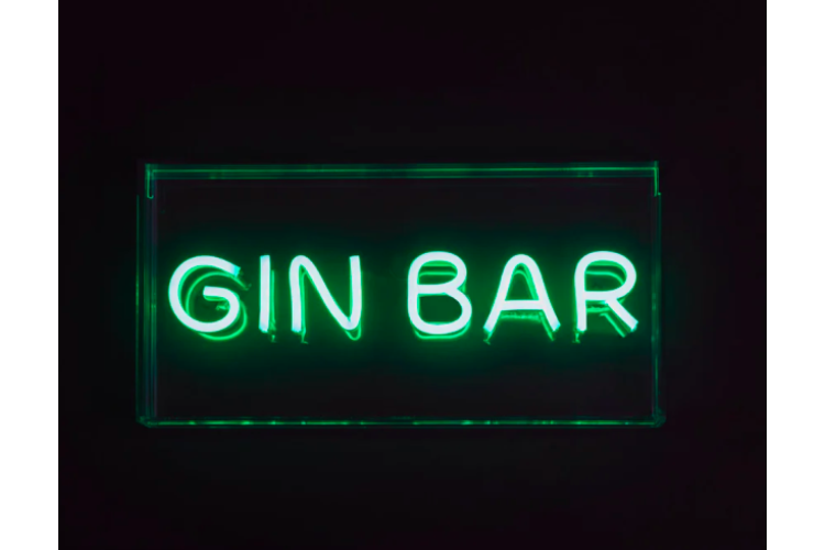 GIN BAR NEON SIGN 