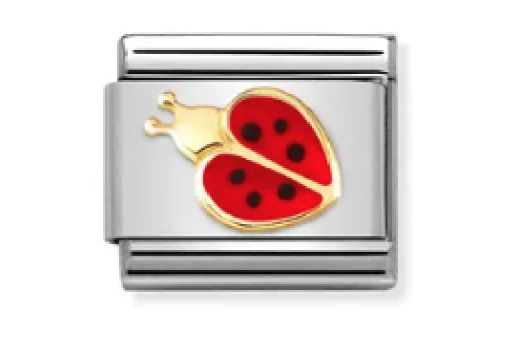 Gold and Red Ladybird Link