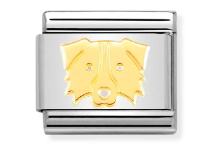 Border Collie Link 
