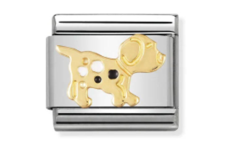 Gold Dalmatian Puppy Link