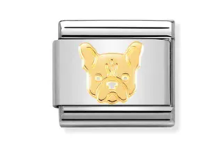 Gold French Bulldog Link