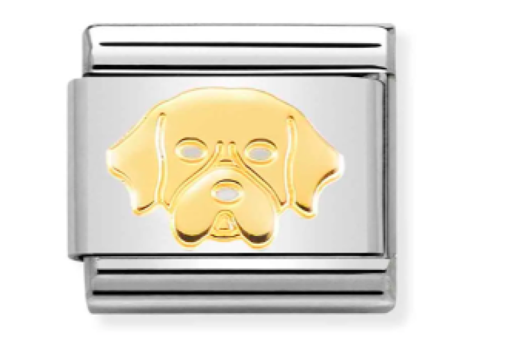 Gold Golden Retriever Link                                                                                                                                                                                                                                     
