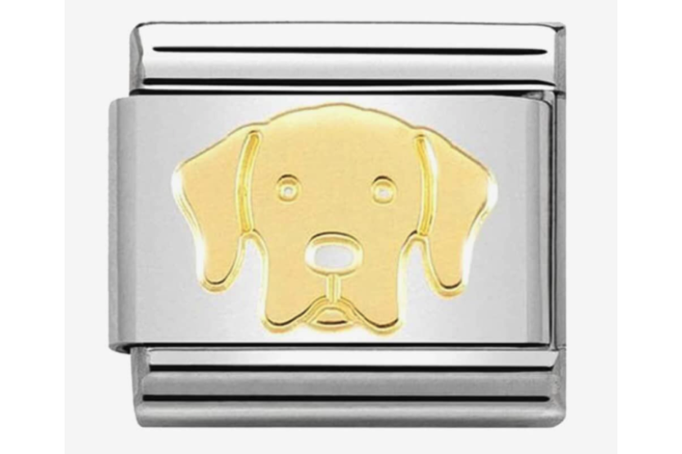 Gold Labrador Link