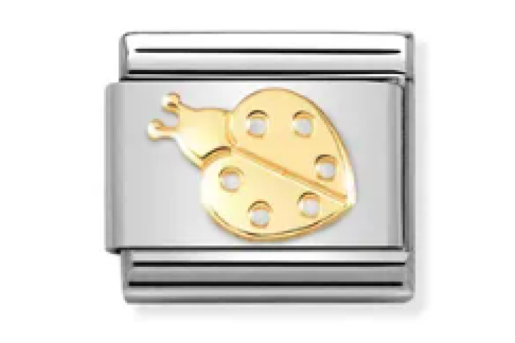 Gold Ladybird Link