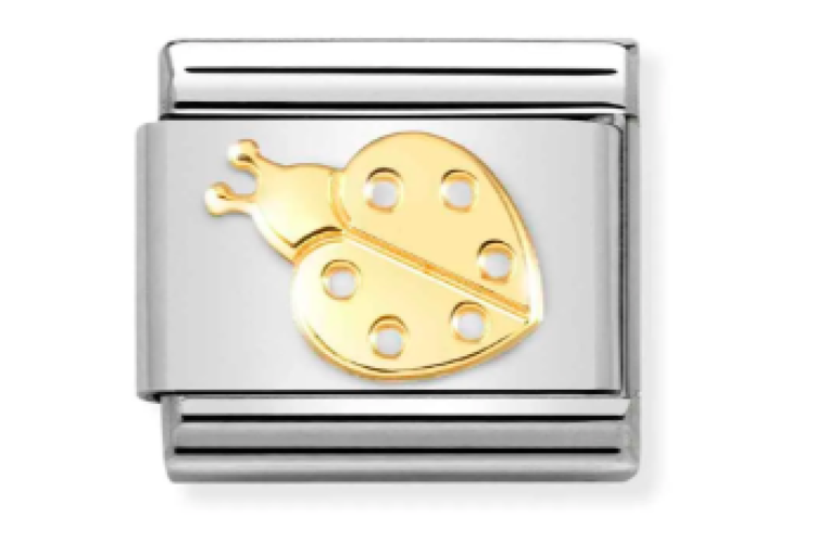 Gold Ladybug Link 