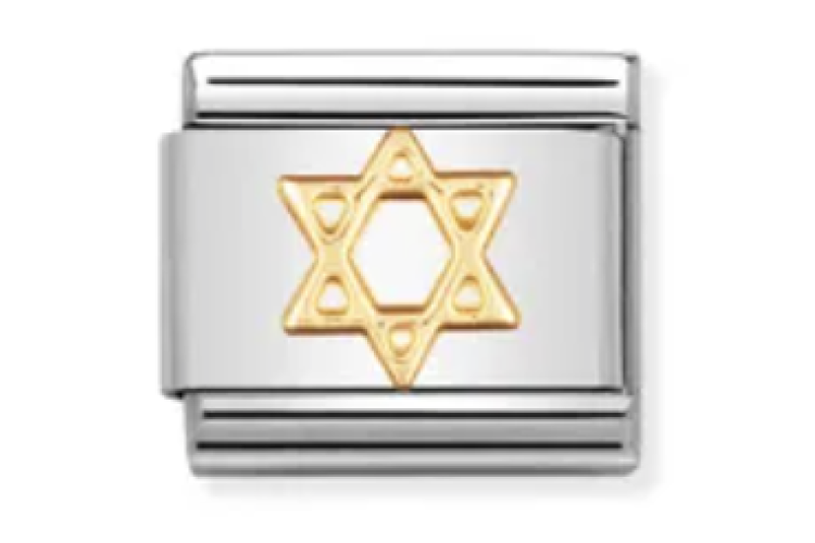 Gold Star of David Link