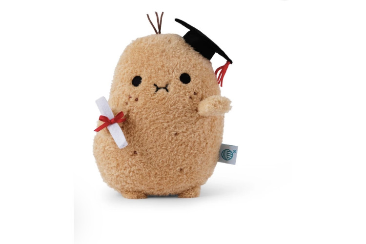 Graduate ricespud 