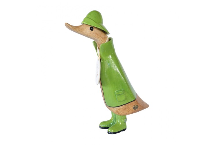 Green Raincoat Duckling