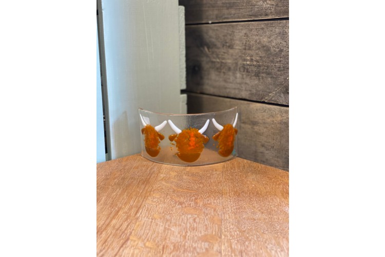 Highland Cow Curve