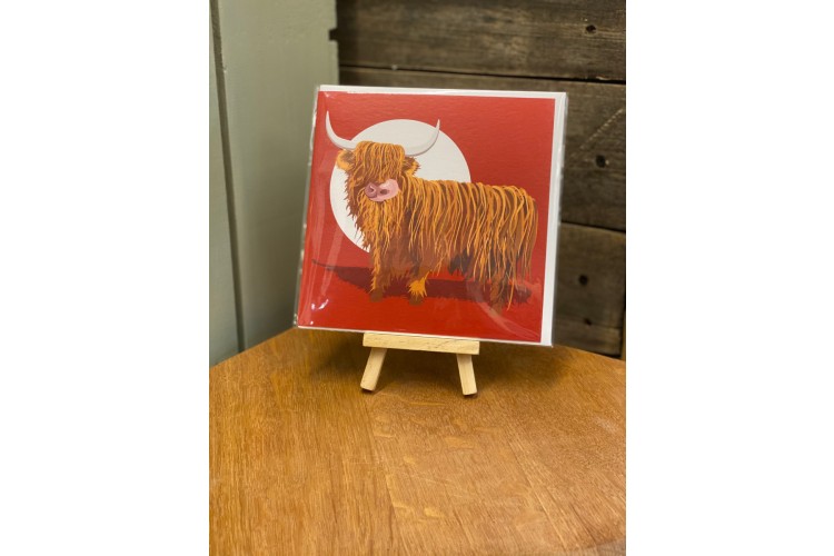 Highland Cow Greeting Card