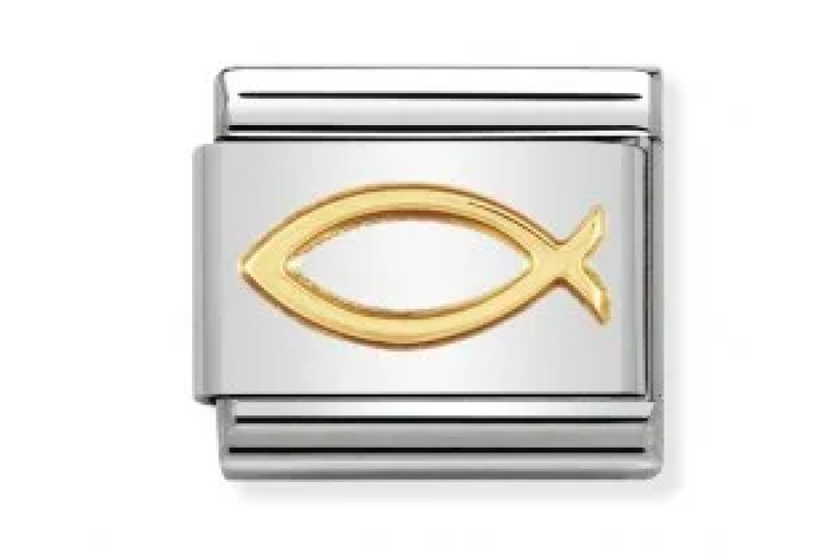 Ichthys Link 