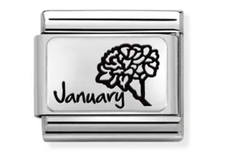 January Flower Link