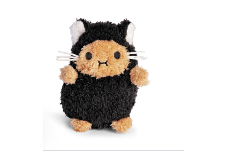 Kitty-Black ricespud 