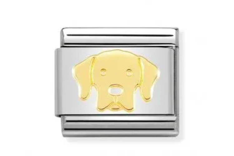 Labrador Retriever Link 