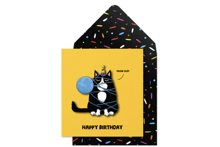 Meow Old? Birthday Card