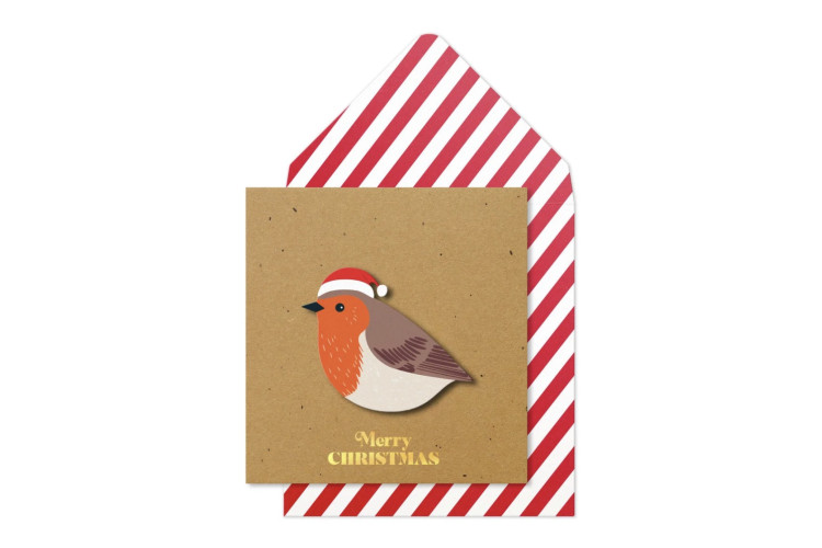 Merry Christmas - Robin