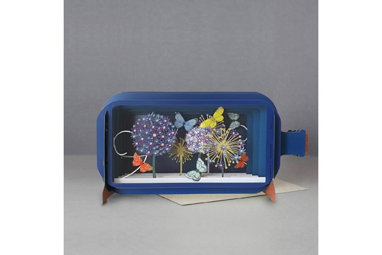 Message in a Bottle  Dandelion and Butterfly Pop Up Birthday Greeting Card